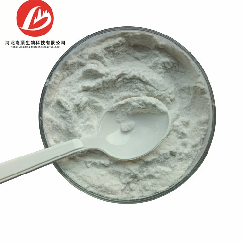 Raw Material 2, 6-Di-O-Methyl-Beta-Cyclodextrin Powder CAS 51166-71-3