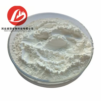 Heißer Verkauf 2, 6-Di-O-Methyl-Beta-Cyclodextrin Pulver CAS 51166-71-3